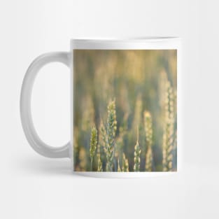 Common Wheat Mug